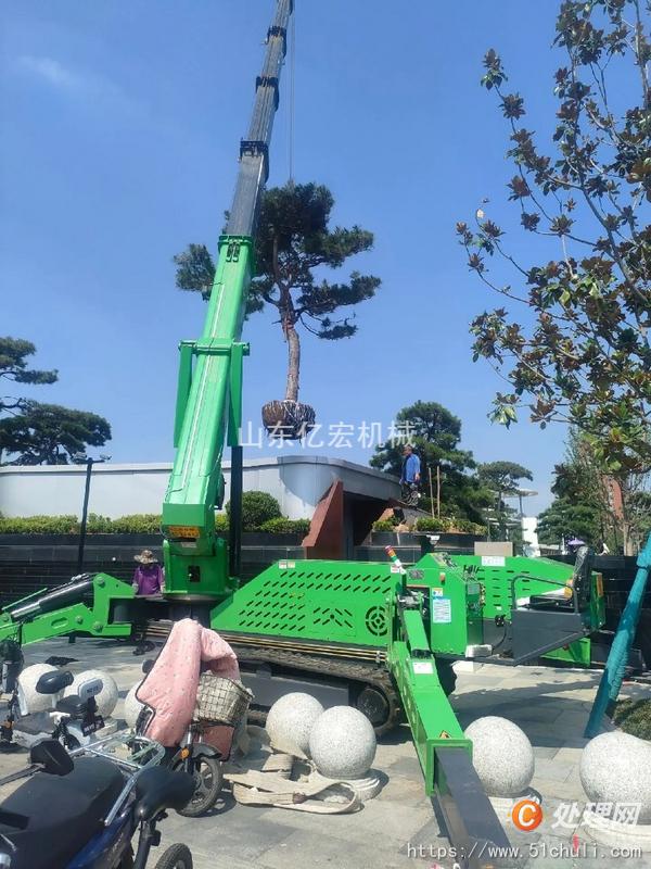 二手汽車吊