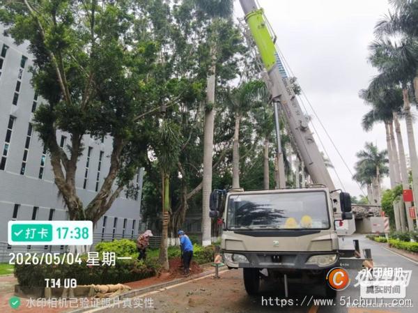 二手汽車吊