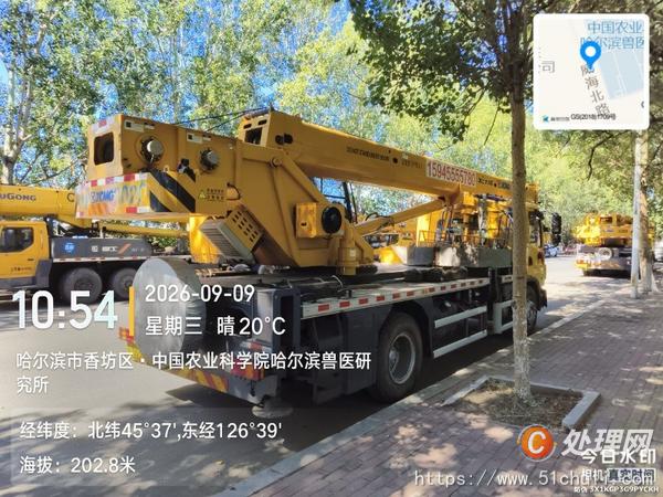 二手汽車(chē)吊