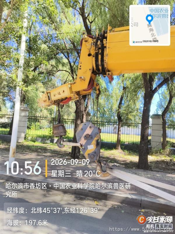 二手汽車(chē)吊
