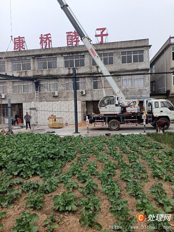 二手汽車吊