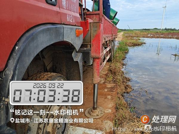二手汽車吊