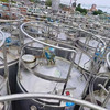 出售4噸8噸乳品發(fā)酵罐