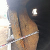 轉(zhuǎn)讓直徑1.83長(zhǎng)7米軸承架子球磨機(jī)