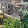 轉(zhuǎn)讓二手130型真空給袋式包裝機(jī)